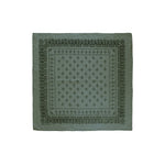 1930's bandana in meadow