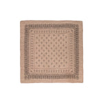 1930's bandana in taos