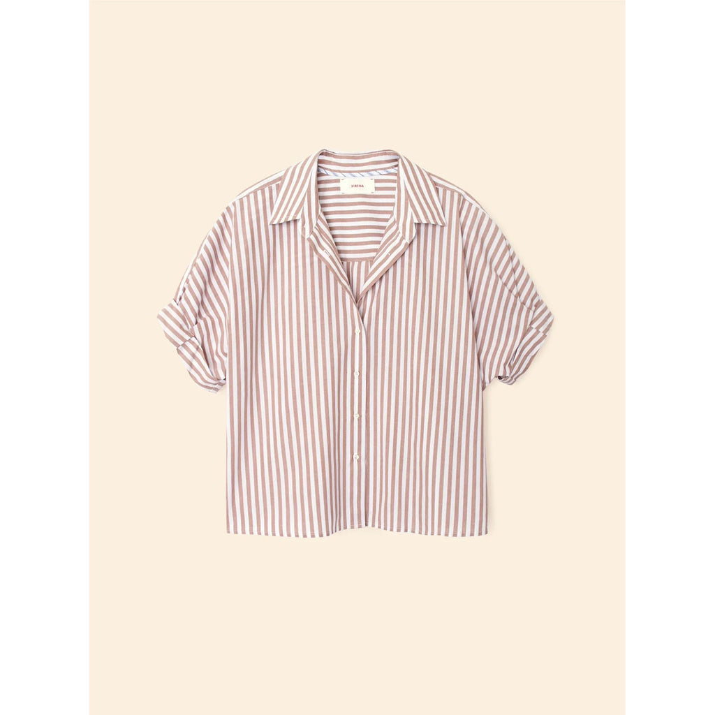 teddy shirt in café