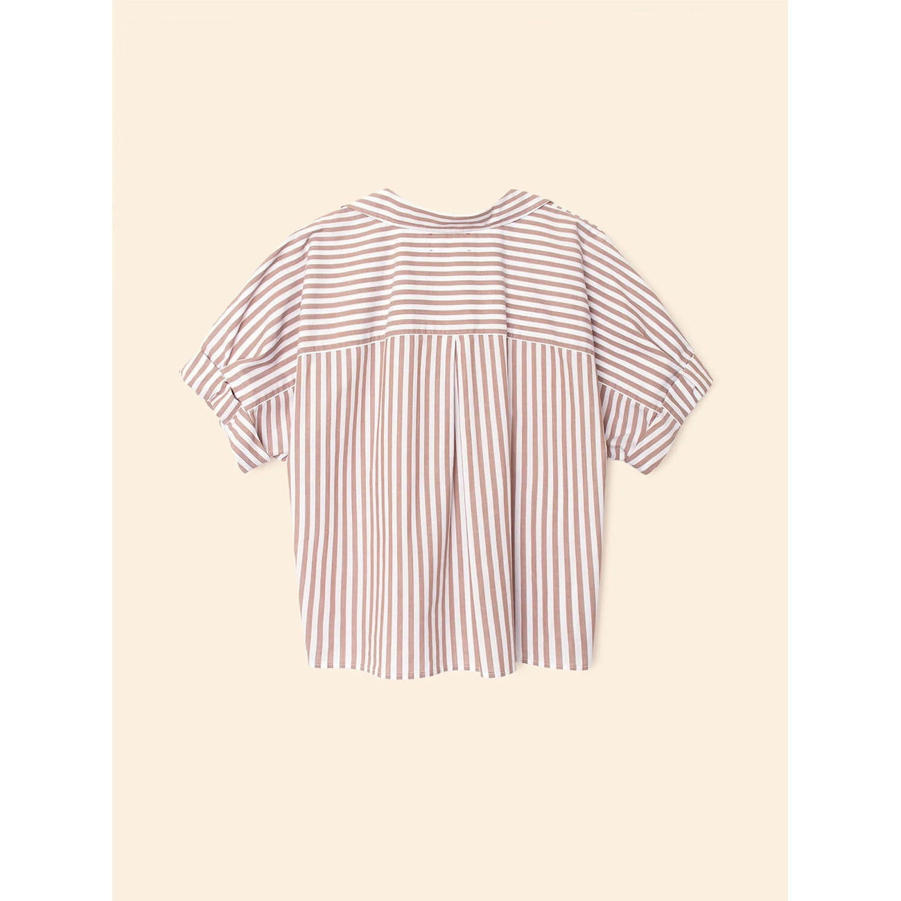 teddy shirt in café