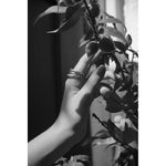 rannell ring