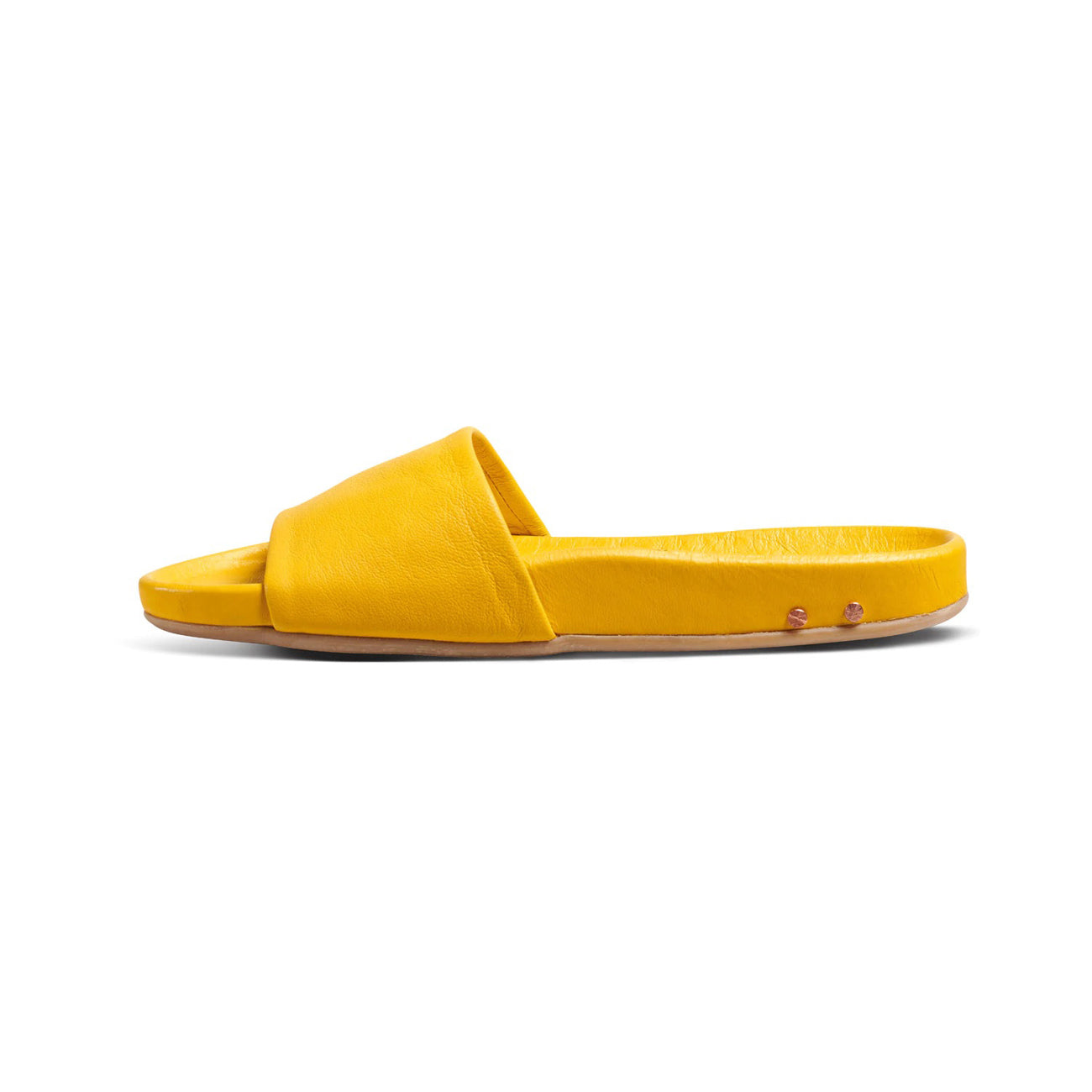 gallito in sunshine