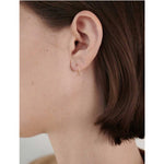 small moon earrings